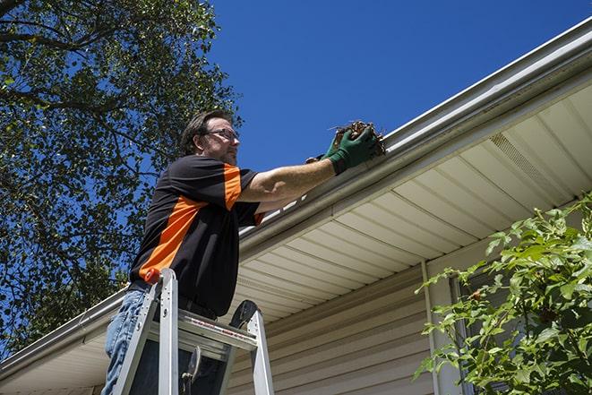 gutter repairman inspecting a damaged downspout in Waltham